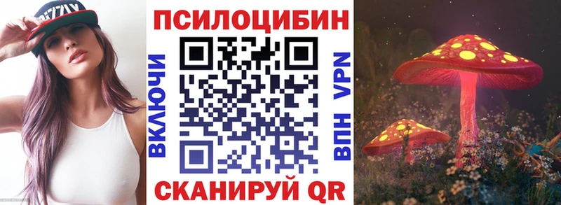 Псилоцибиновые грибы Psilocybe  Купить где  Альметьевск 